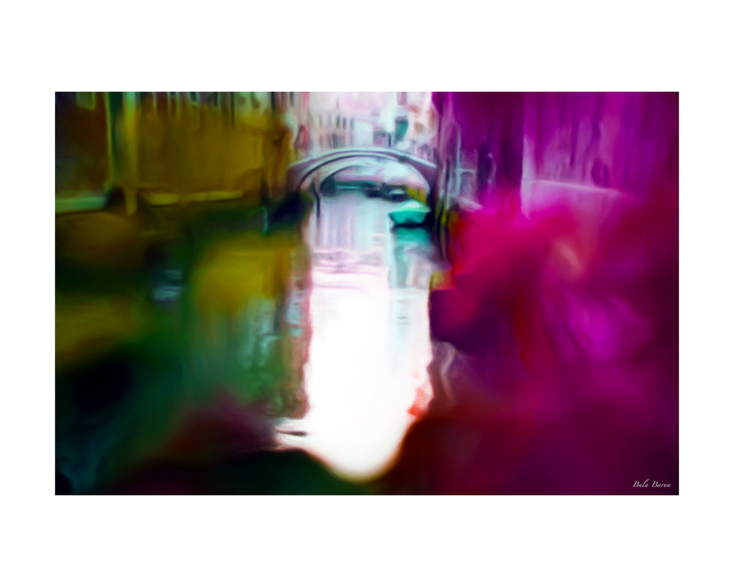 Flowers on the Gondola