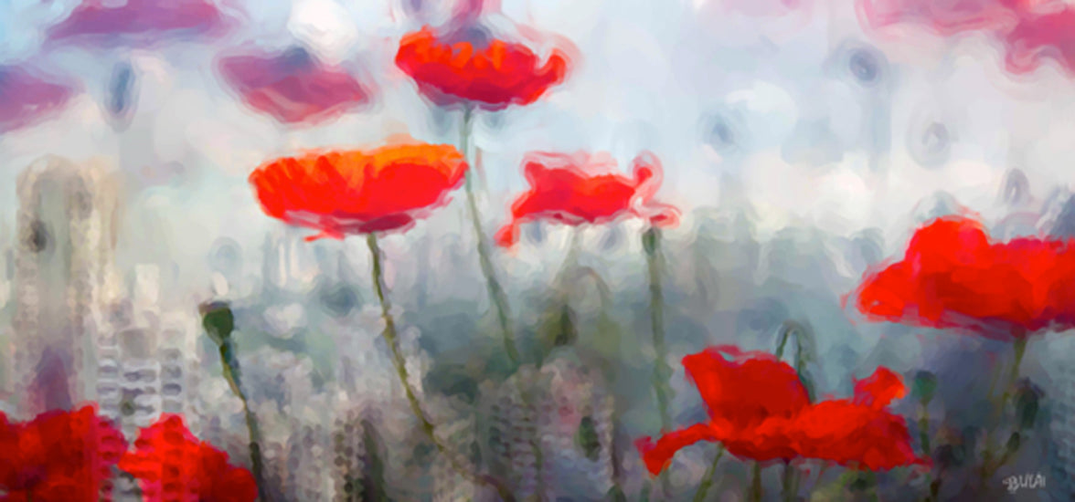 Poppies in the City
